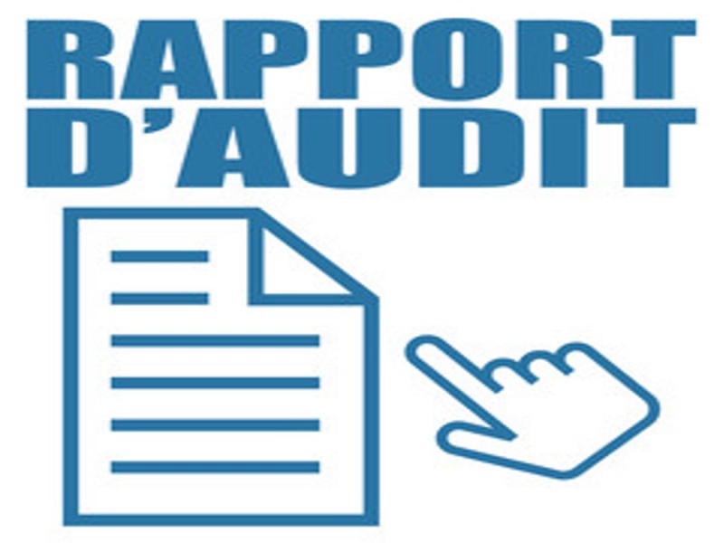 CARA : Common Audit Report Application